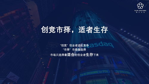 梅花创投 创业进化论——在不确定中寻找确定的生存法则